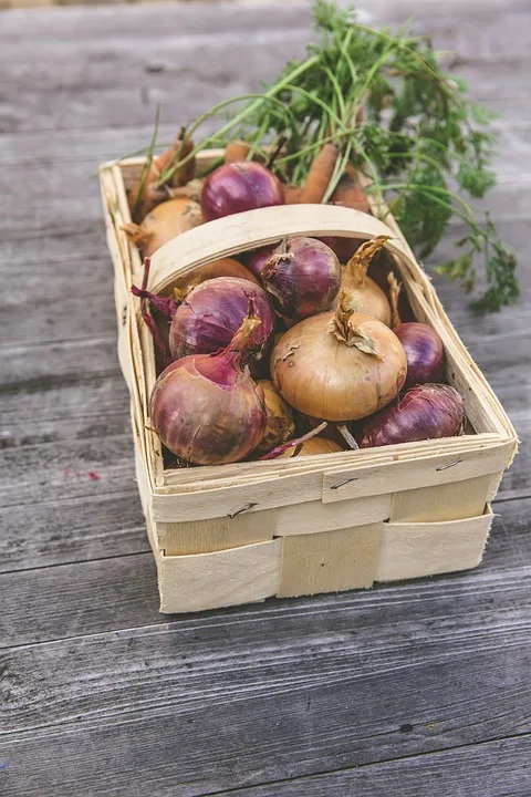 Nachhaltige Ernährung: Veranstaltung zur solidarischen Landwirtschaft in Gescher