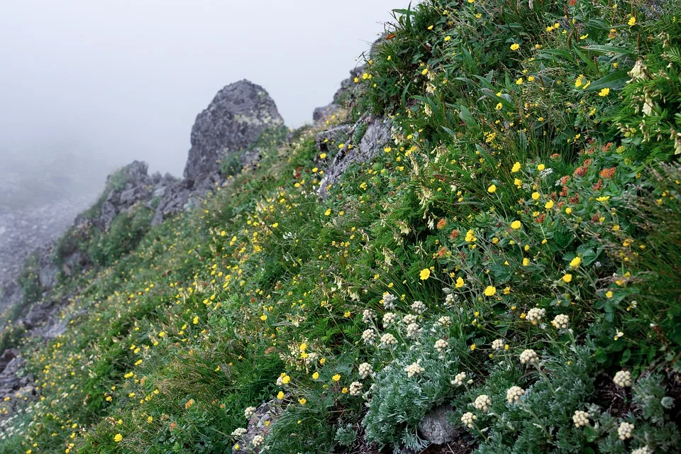 Neu ab Oktober: Alpine-Symbol wird Pflicht für Winterreifen!