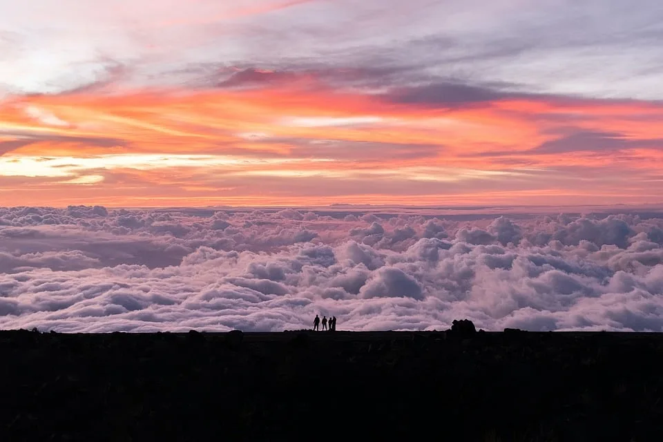 Neueste Nachrichten aus der Vulkaneifel: Berichte vom 20. August 2024