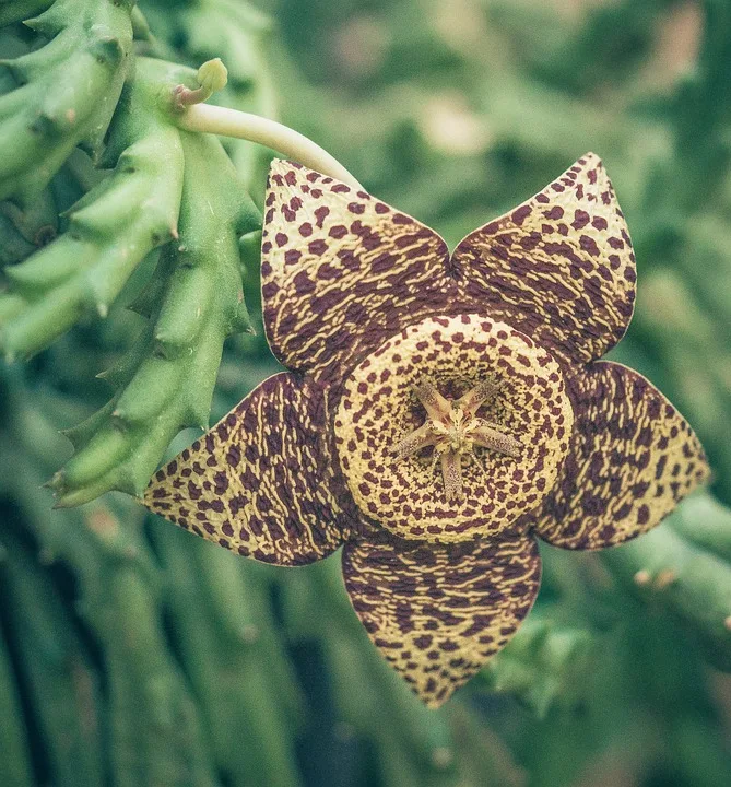 Orbea – Mehr als Vogelliebhaber: Aktiver Naturschutz in der Region