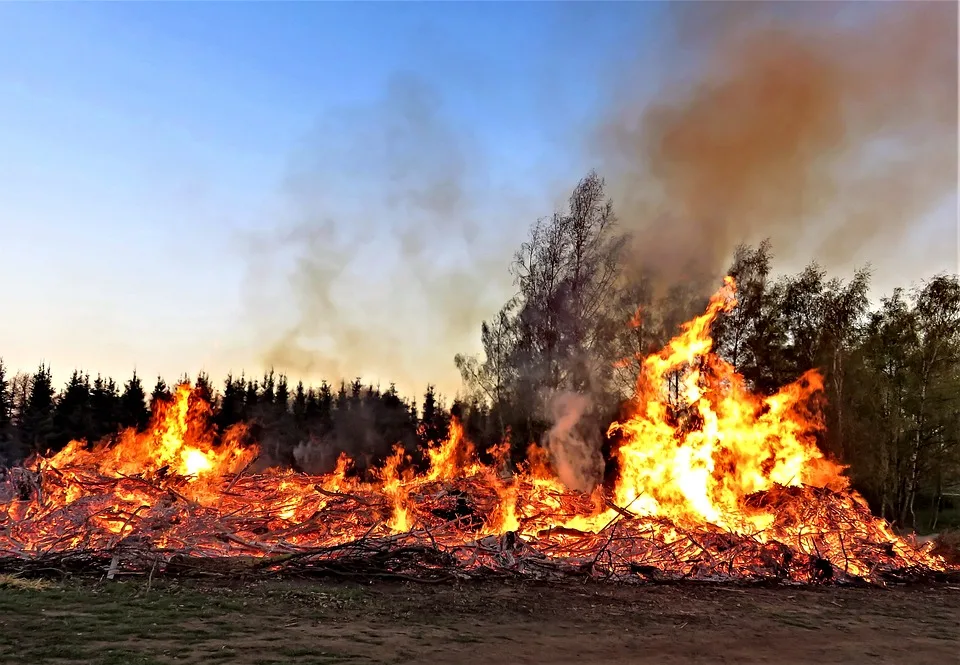 PKW-Brand in Naundorf: Fahrer entkommt, Feuerwehr verhindert Schlimmeres