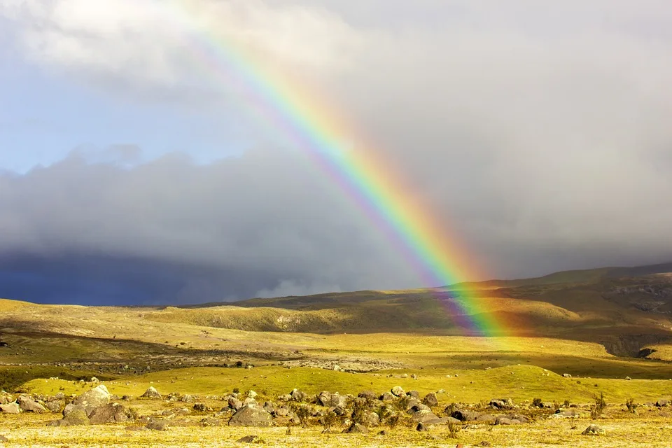 Rainbow Family im Harz: Frieden, Freiheit und Ärger mit den Behörden