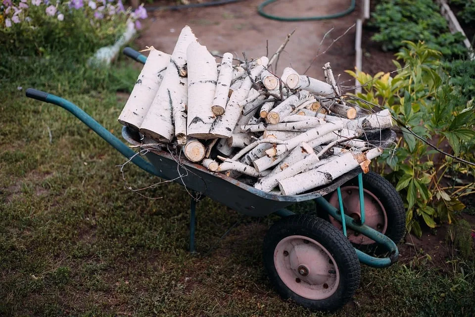 Regeln für Gartenbewässerung: So vermeiden Sie hohe Bußgelder!