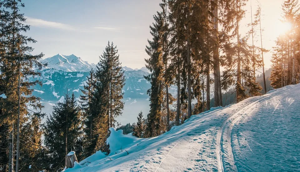 Rosina Schneeberger zieht Skischuhe aus: Ein Abschied mit Wehmut