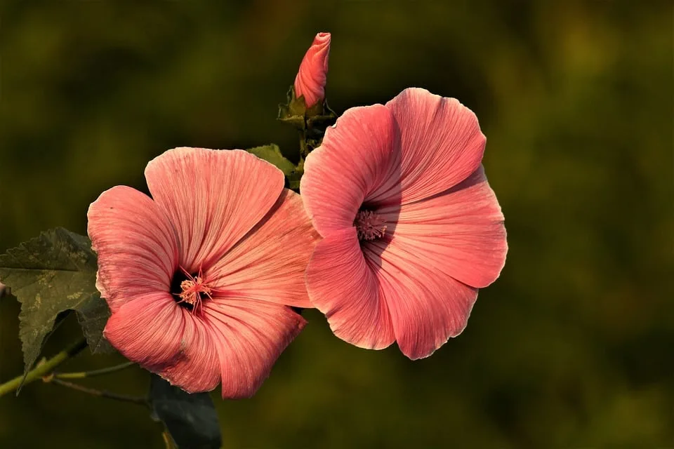 Sommerliche Temperaturen trotzen dem Herbstbeginn in NRW