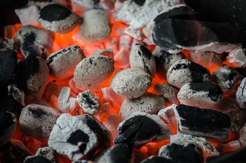 Treffen am Grill: Politik und Gespräche mit Walter und Willnat in Brandenburg