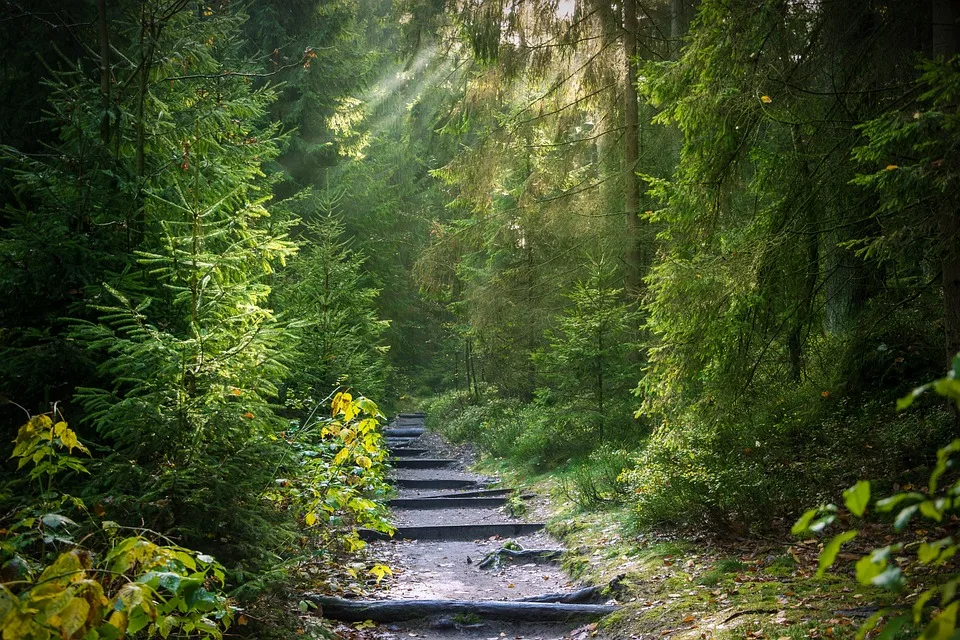 Unbekannter Täter verursacht Waldbrand bei Pößneck – Hinweise gesucht