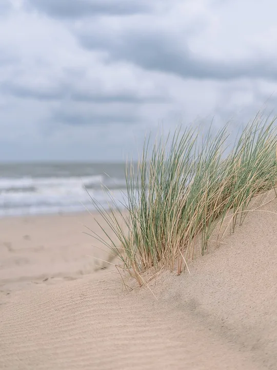 Urlaubsorte im Umbruch: AfD und ihre Auswirkungen auf die Ostsee-Besucher