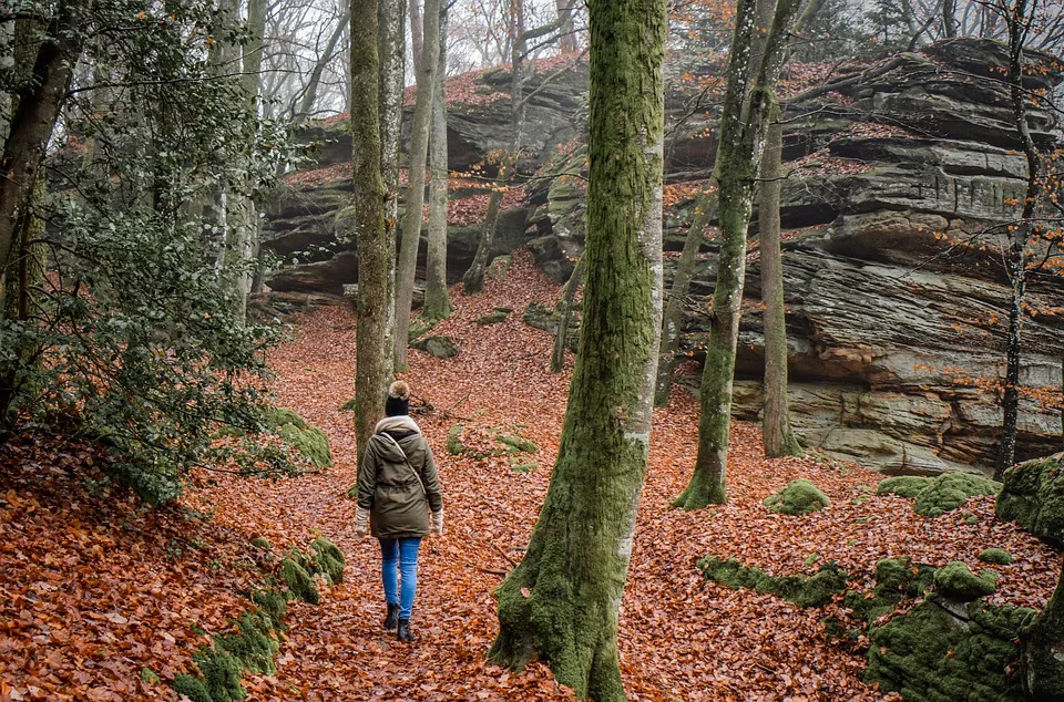 Verborgene Geschichten: Wandertour zu Münsters ehemaligen Gaststätten