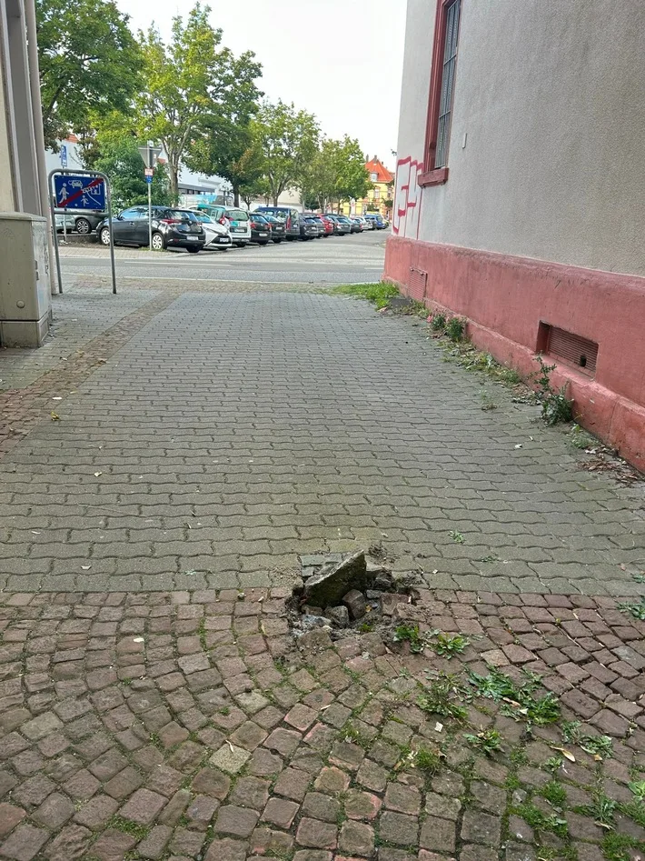 Verkehrschaos in Kaiserslautern: Flucht nach Straßenpoller-Unfall