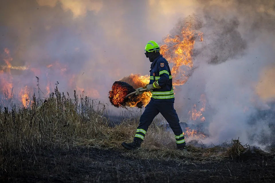 Waldbrand bei Jüterbog: Einsatzkräfte kämpfen gegen Flammen und Munition