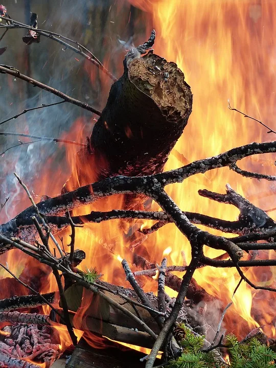 Waldbrand bei Tropical Islands: Feuerwehr-Einsatz erfolgreich abgeschlossen