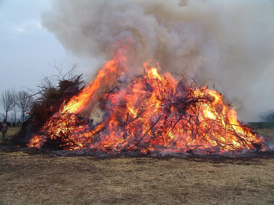 Waldbrand in Brandenburg: Feuerwehr bei Tropical Islands erfolgreich im Einsatz