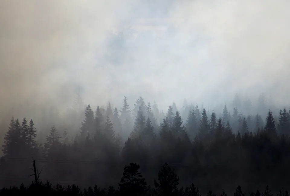 Waldbrand in Luckenwald: Gefährdetes Gebiet und steigendes Risiko