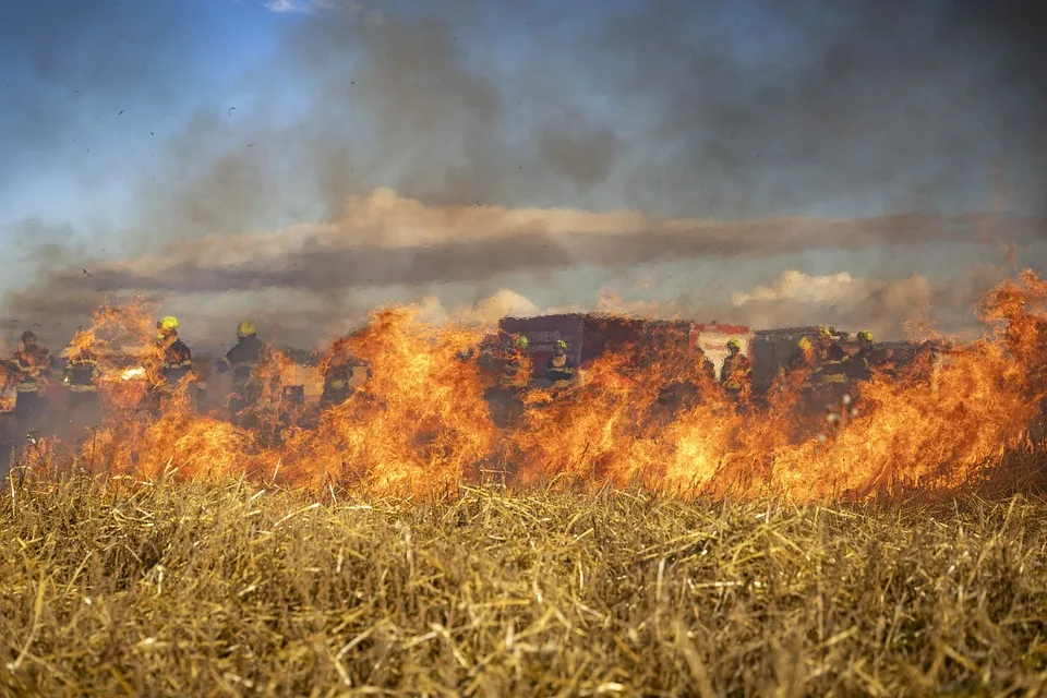 Waldbrand in Rietz-Neuendorf: Feuerwehr kontrolliert Feuer nach Stunden