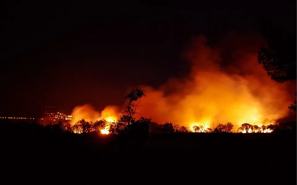 Waldbrand nahe A2: Feuerwehr kämpft gegen Flammen im Paterdammer Weg