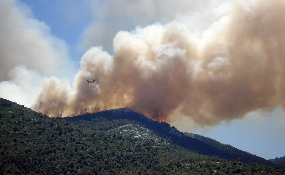 Waldbrandgefahr in Brandenburg: Betroffene Regionen im Blick