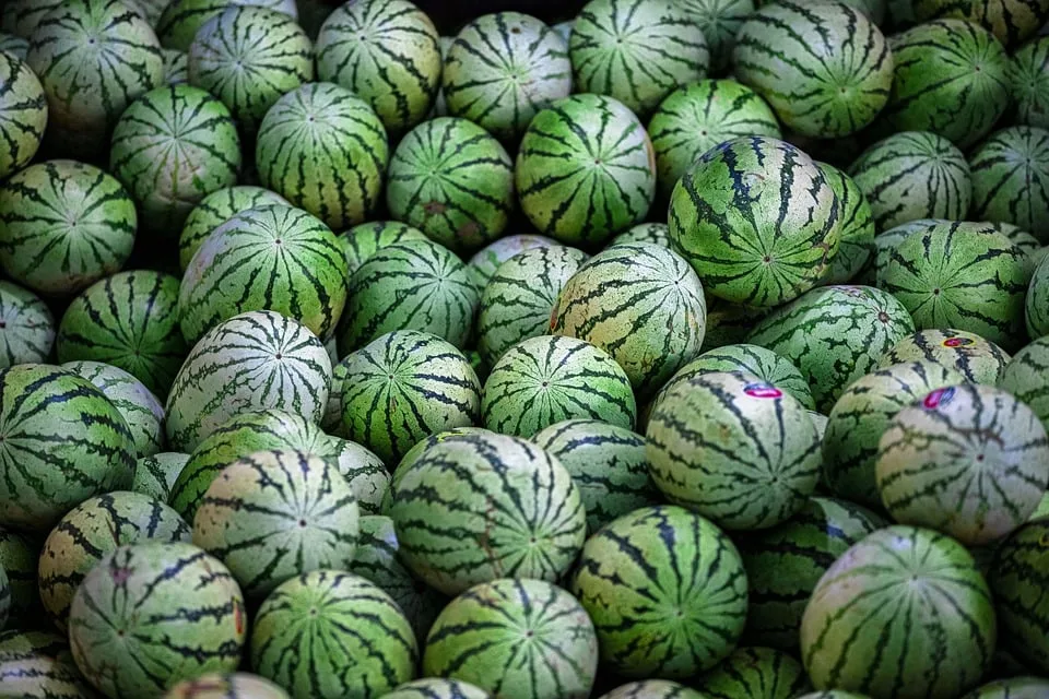 Wassermelonen-Verwirrung bei Lidl: Preisfrage sorgt für Aufregung