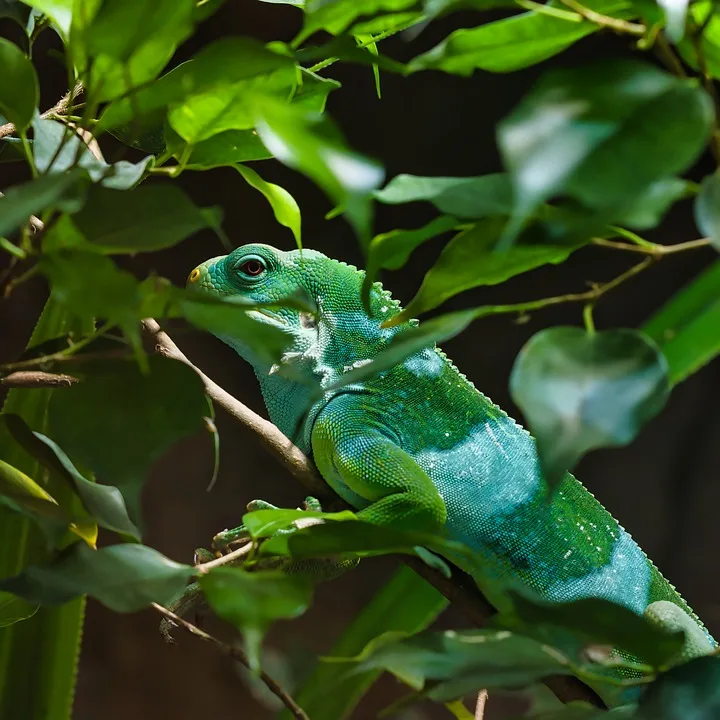 Zoo Vivarium: Schulanfänger entdecken, wie Tiere lernen