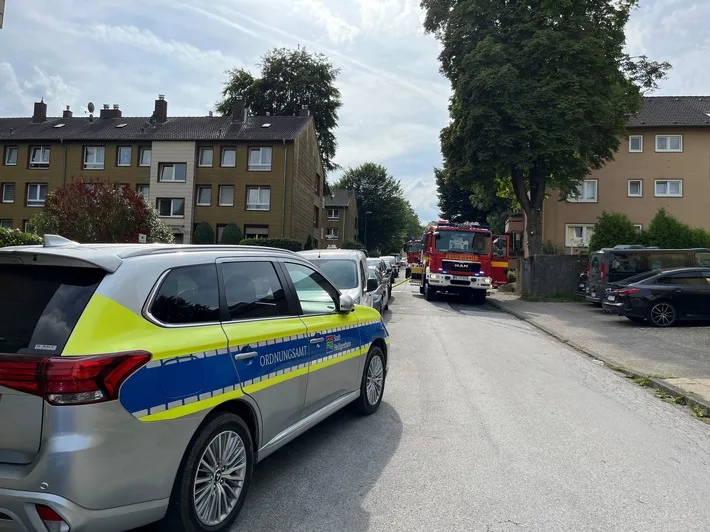 „Feuerwehr Heiligenhaus rettet Katzen und Schlange aus Wohnungsbrand“