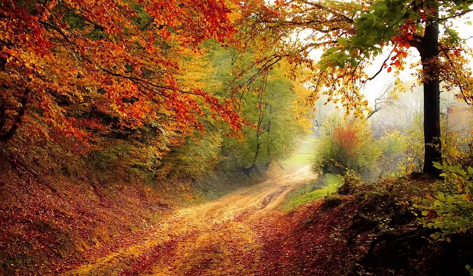 „Vielfalt der Börde einfangen: Fotowettbewerb für Naturfreunde“