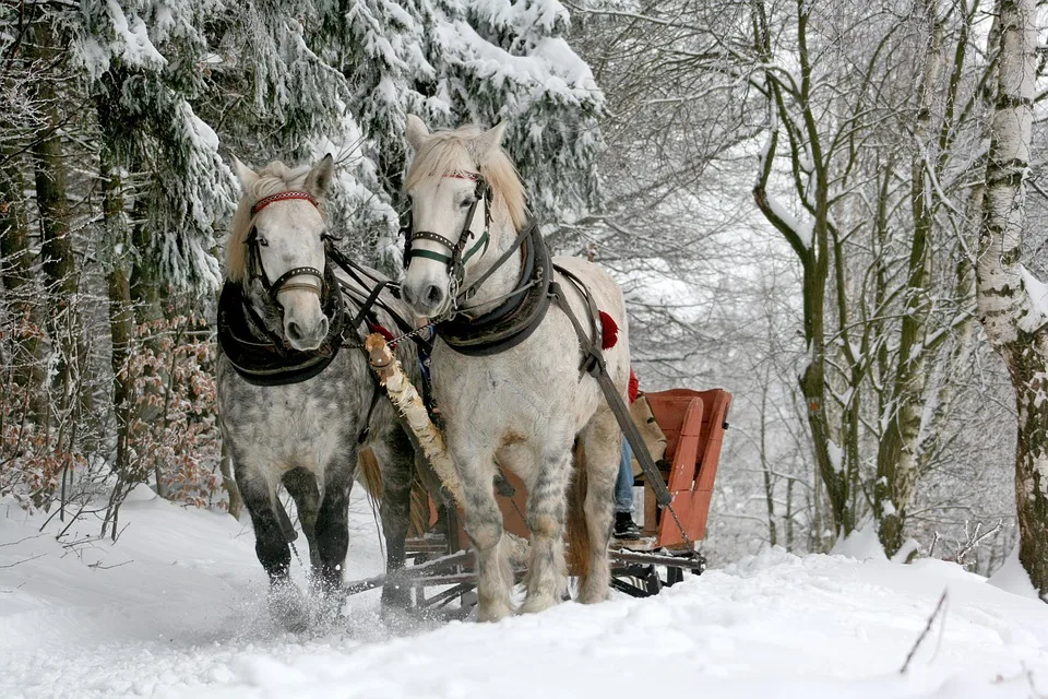 Abschied von  The Winter King  und  Beacon 23 : Neues für Fans?