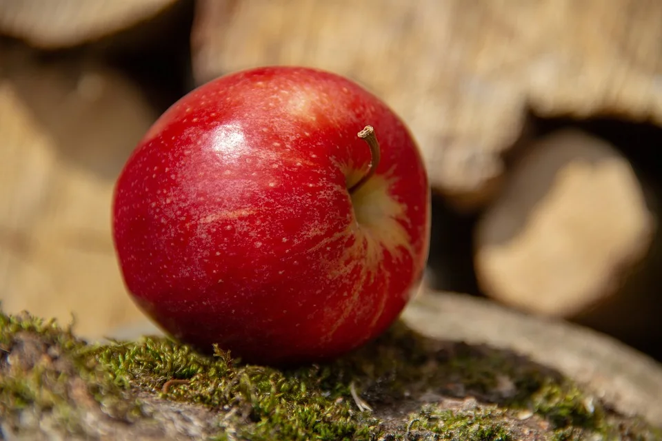 Äpfel und Beeren: So senken Sie das Demenz-Risiko erfolgreich!