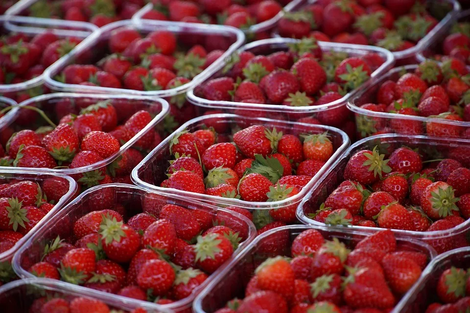 Agrarflächen in Thüringen: Preise steigen auf Rekordniveau!