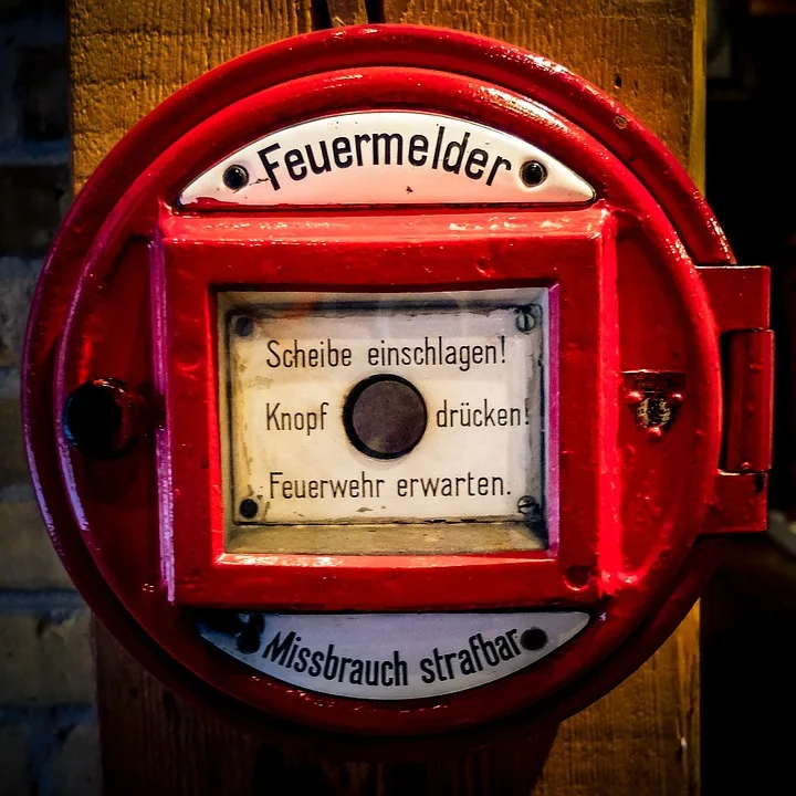 Alarm in Sachsen-Anhalt: Blauzungenkrankheit breitet sich rasant aus!