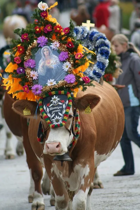 Almabtriebe im Alpenraum: Tradition, Festlichkeiten und Rückkehr der Tiere