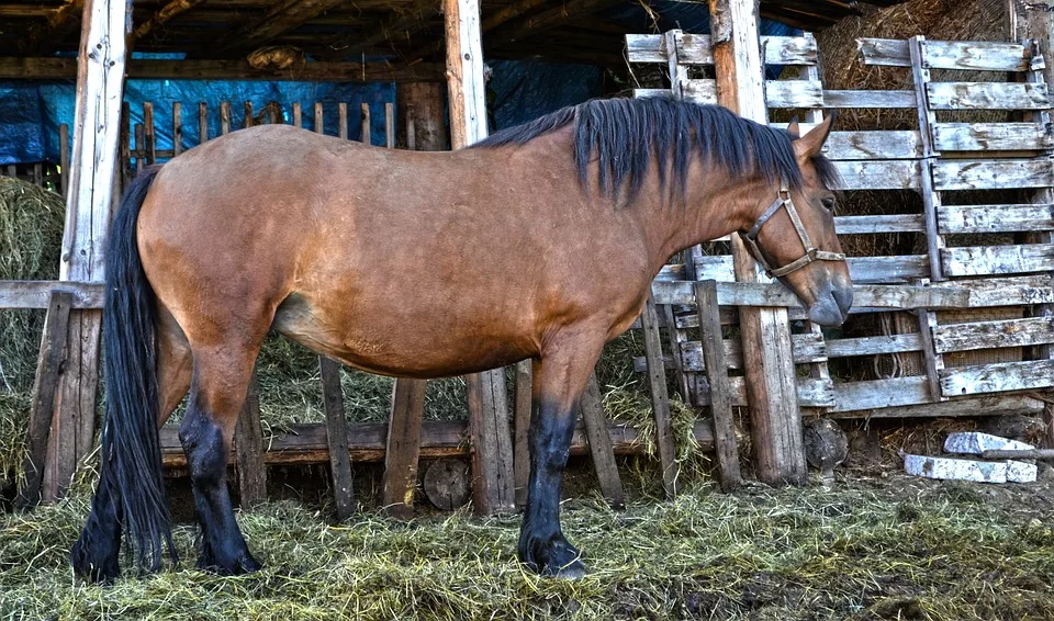 Arbeitslosigkeit im Raum Pegnitz: Anstieg und seine Hintergründe