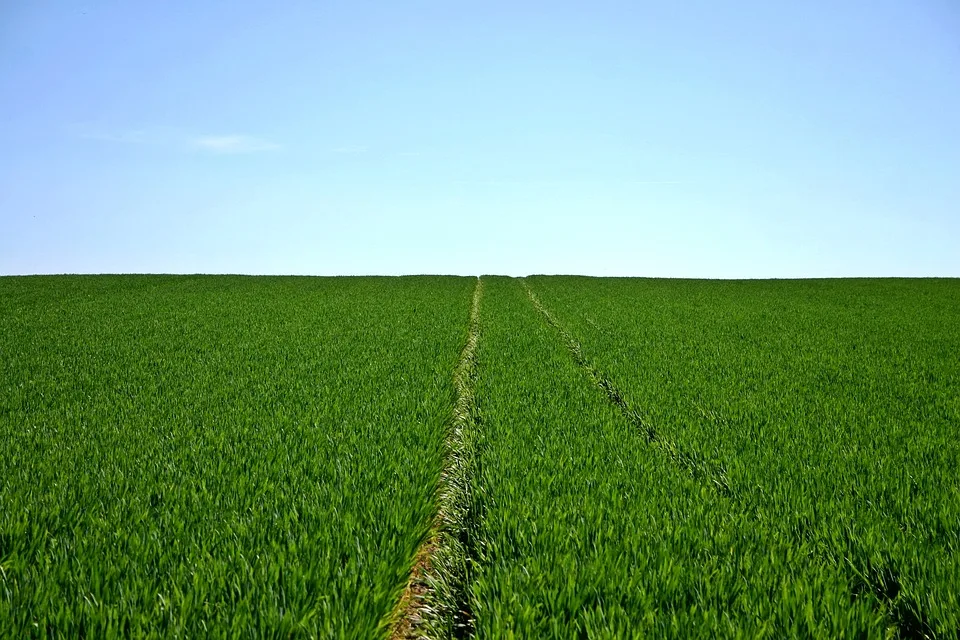 Bauliche Erneuerung der Landwirtschaftsschule Weißenburg: Ein Schritt in die Zukunft