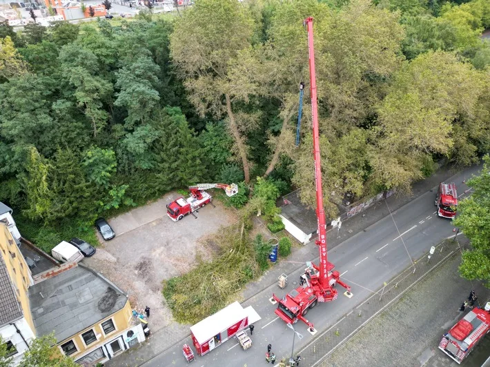 Baum kracht auf Straße: Feuerwehr Bochum im Großeinsatz!