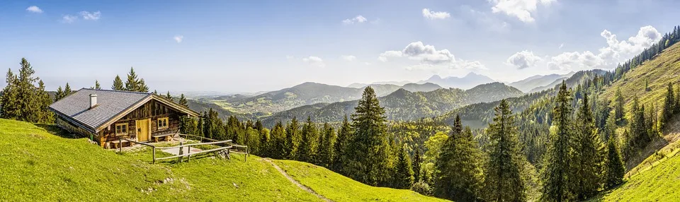 Bayerns Wälder 2024: Aufatmen nach Dürre – Ein Blick auf den Zustand der Bäume