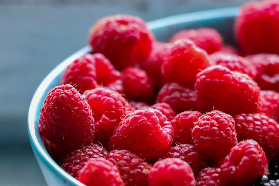 Beerenvielfalt im Spätsommer: Schmackhaft oder gefährlich? Experten klären auf!