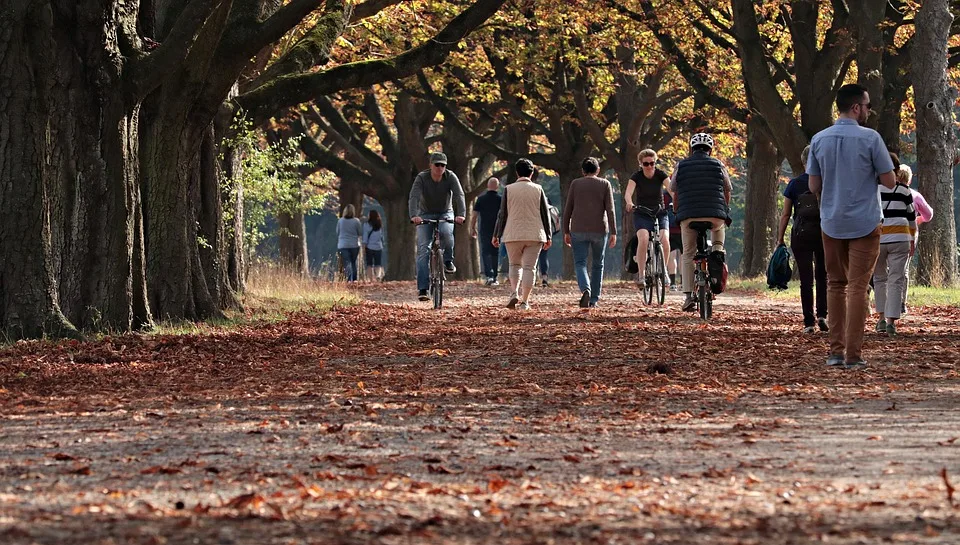 BergparkLeuchten: Farbenspiel und Genuss im Herkulespark