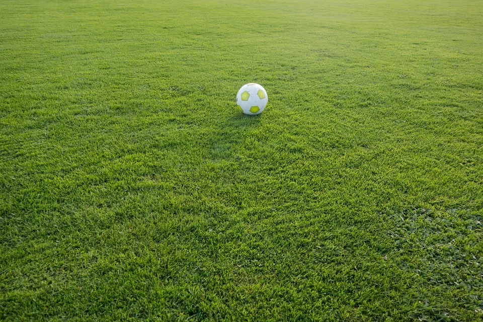 Bittere Niederlage für den FC: Chancenwucher kostet den Sieg gegen Magdeburg