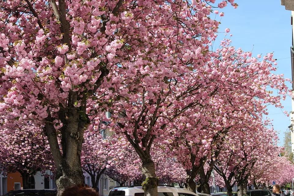 Bonn und Melbourne vereinen Kräfte gegen Pandemien: 40 Millionen Euro Förderung!