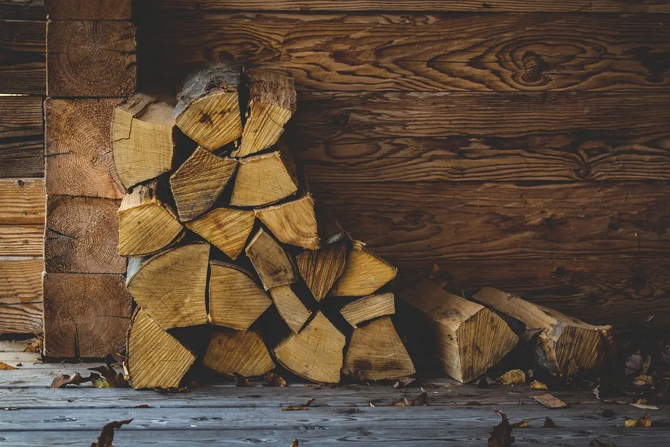 Brennholz aus heimischem Wald: Nachfrage steigt – So bestellen Sie richtig!