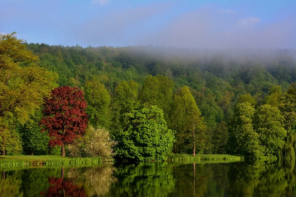 Das „brombeer Buendnis In Thueringen Mehr Streit Als Stabilitaet.jpg