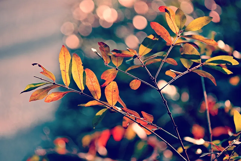 Der Herbst naht: So bereiten sich Nastätter Imker auf die Kälte vor!