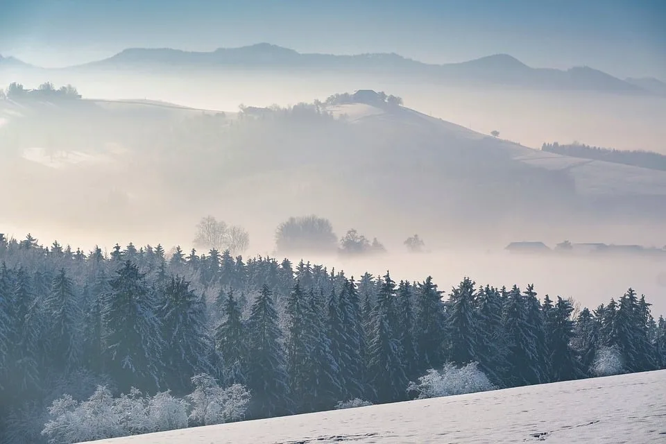 Deutsche Waldtage 2024: Entdecken Sie Waldwissen vom 13. bis 15. September