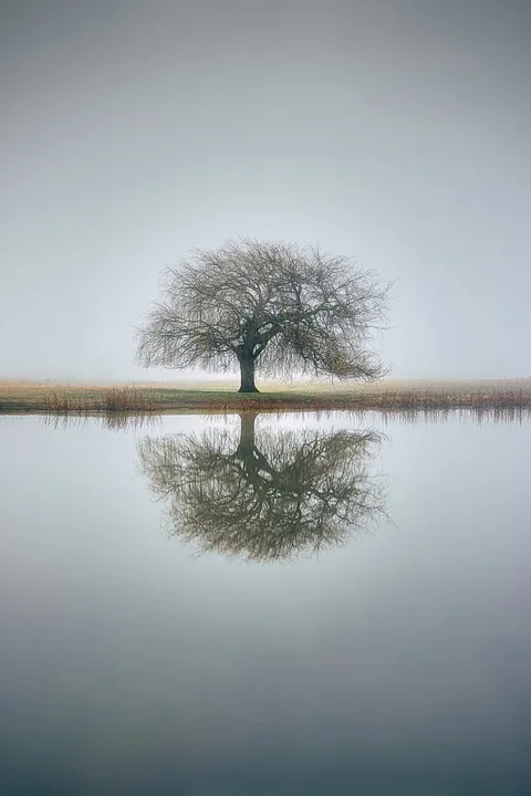 Die Farben Der Natur Ein Blick Hinter Die Farbpalette Unseres.jpg