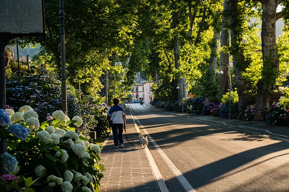 Diebstahl beim Straßenfest: Zwei Pedelecs im Wert von 10.000 Euro entwendet