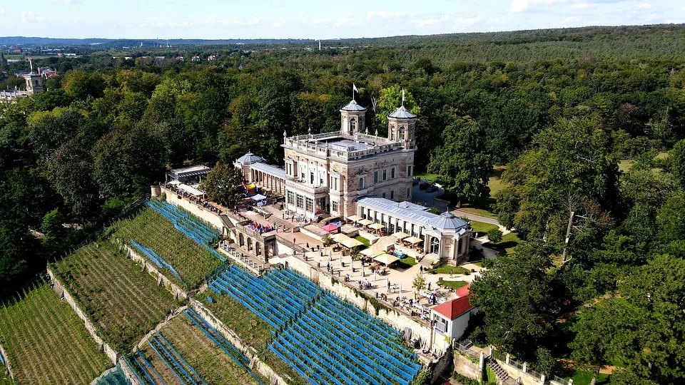 Dresden erblüht: NEUE ArT Kunstmesse zieht über 90 Talente an!