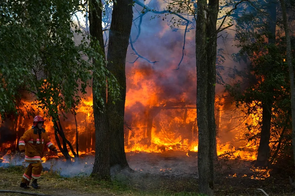 Dresdner Feuerwehr in Bereitschaft: Carolabrücke bleibt im Fokus!