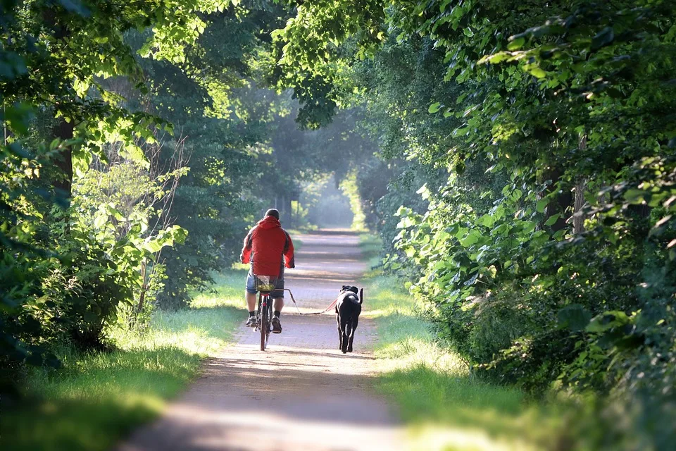 E-Bike-Raub im Hammerstein-Park: 30.000 Euro Schaden für Firma!