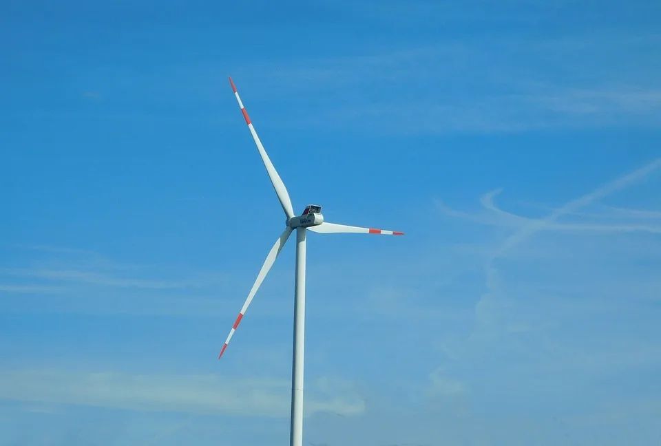 Ebersberger Forst: Windkraftpläne trotz regionaler Bedenken