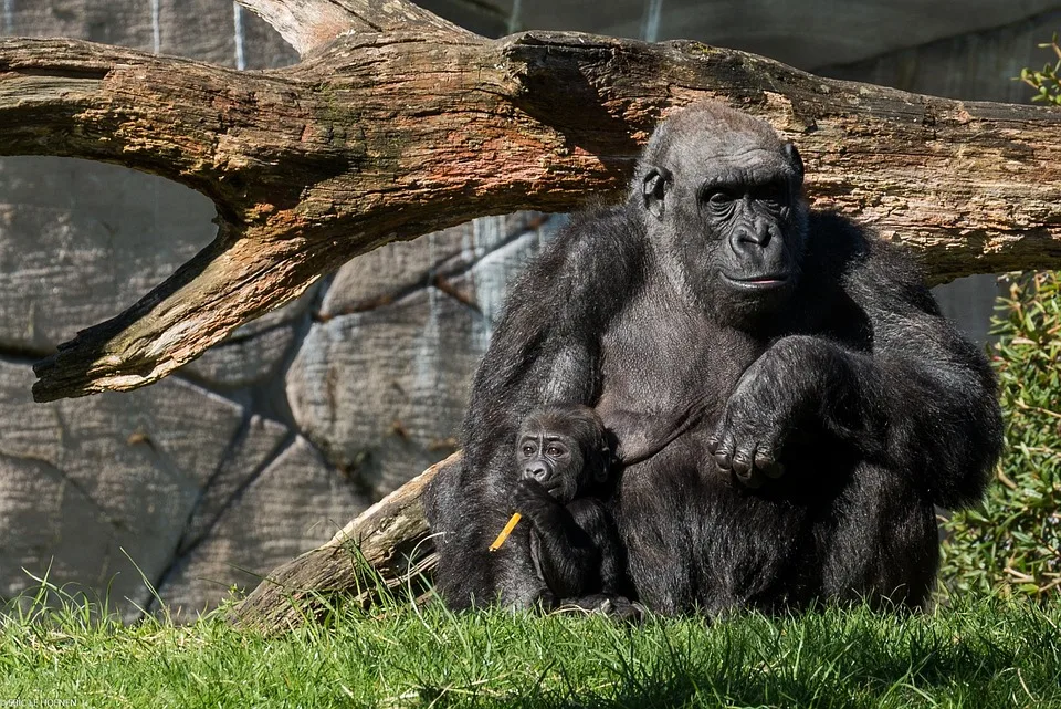 Ein letzter Wunsch im Zoo Hannover: Christine umgeben von Liebsten