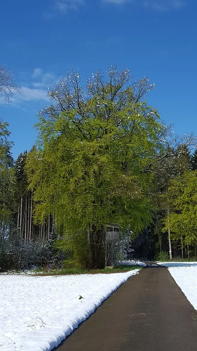 Einbrecher schlägt gleich doppelt zu: Apotheke und Restaurant in Munderkingen betroffen!